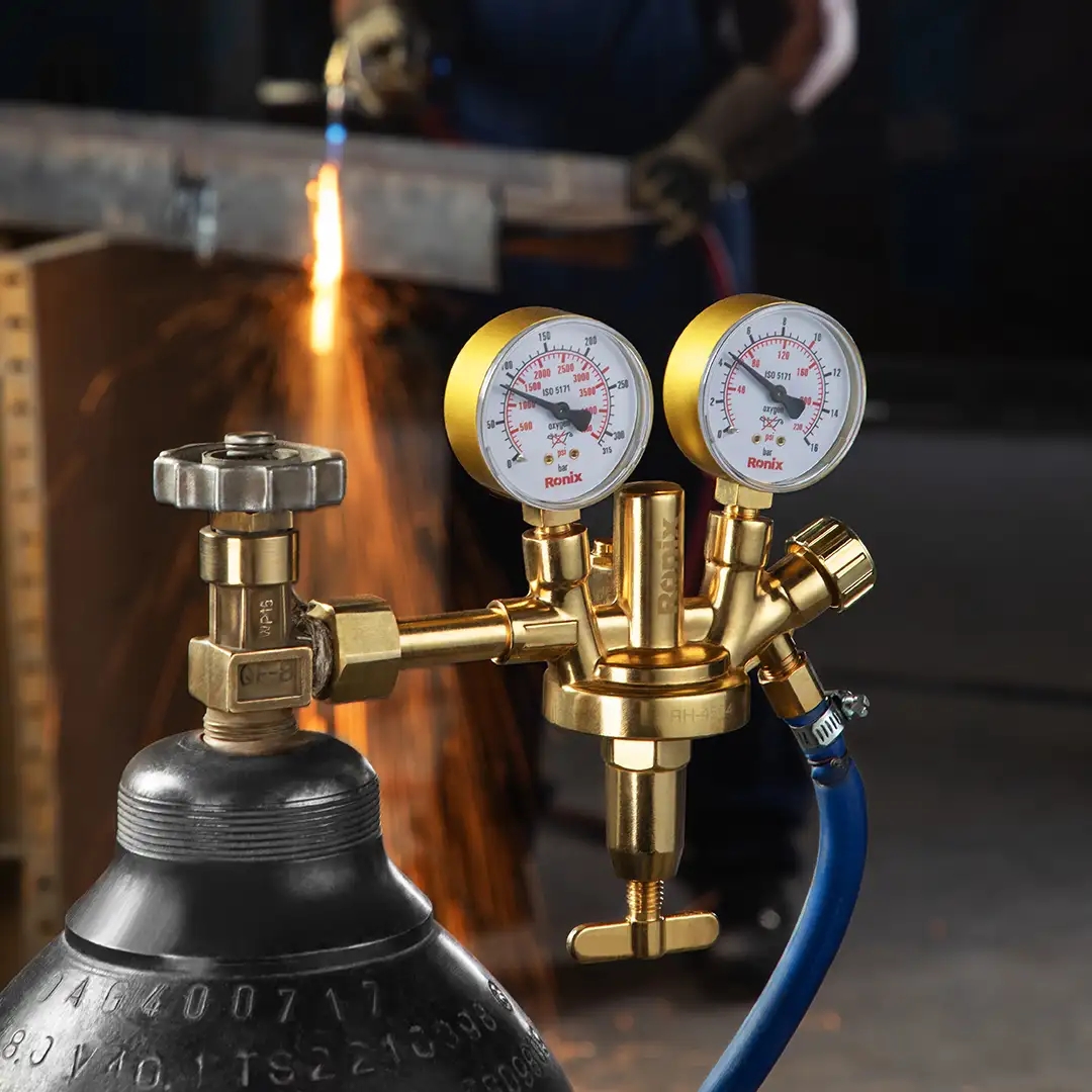 Regulator-Zinser model