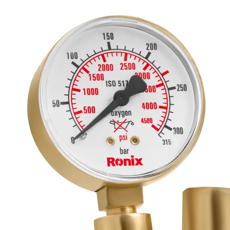 Regulator-Zinser model