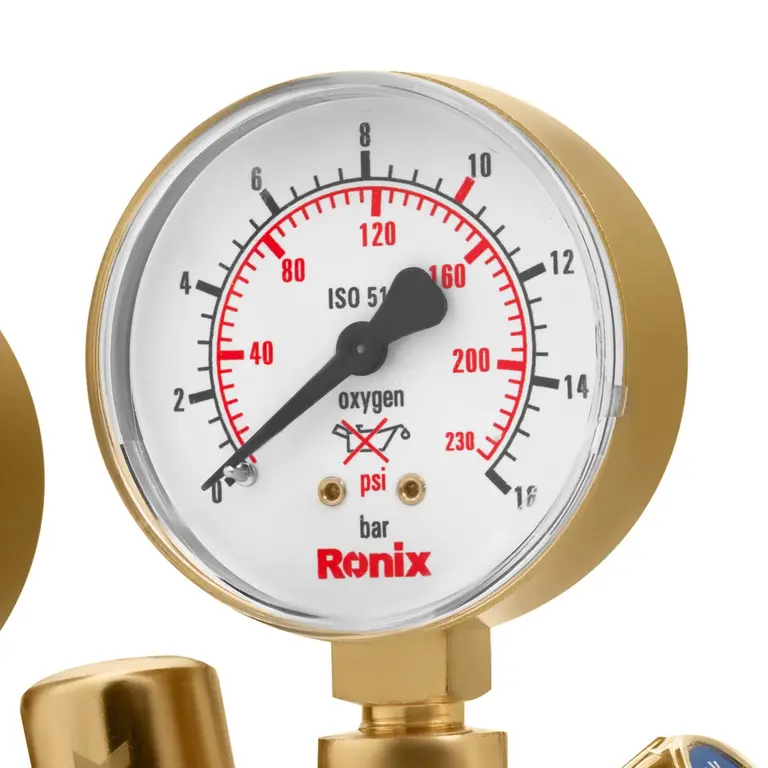 Regulator-Zinser model