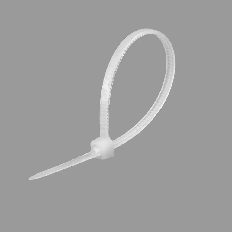 Cable tie 100 mm-1