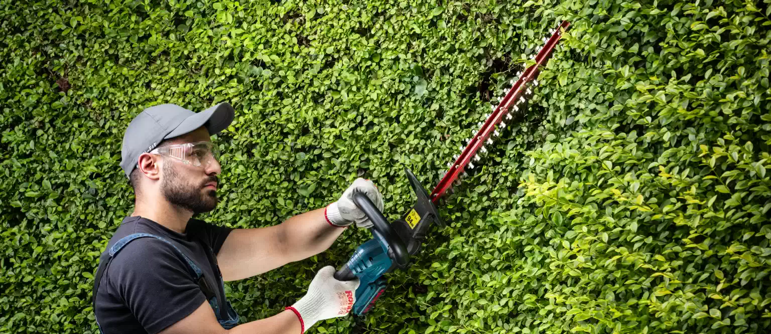 wholesale cordless hedge trimmer