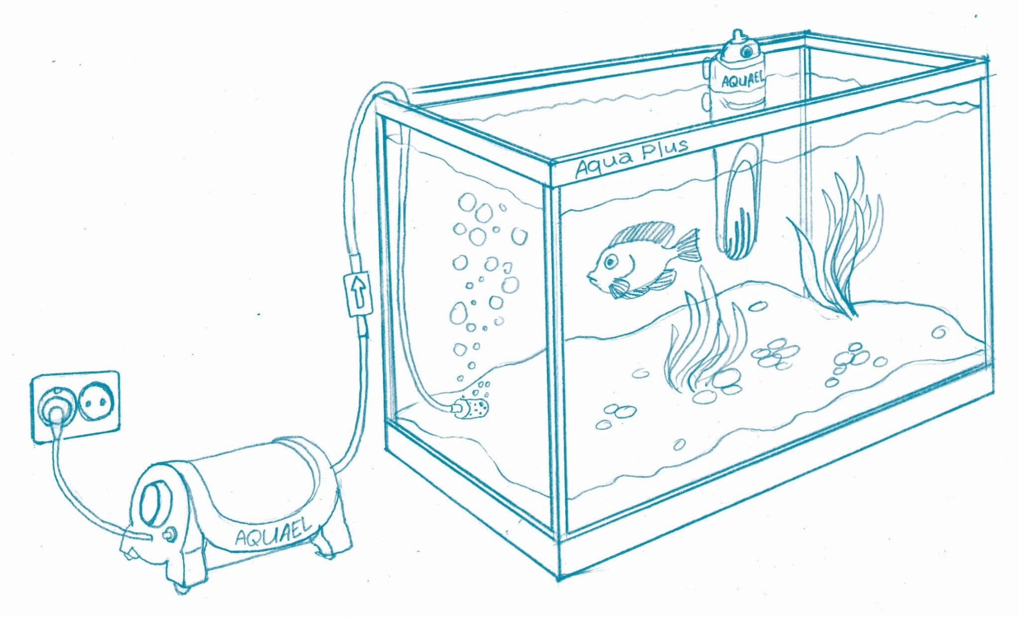 Строение аквариума